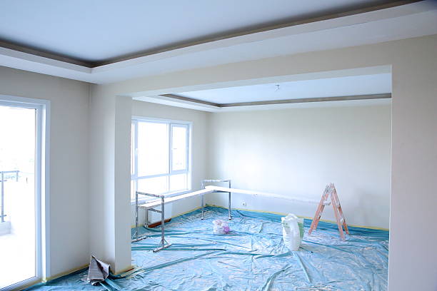 Best Custom Drywall Designs  in Maple Park, IL